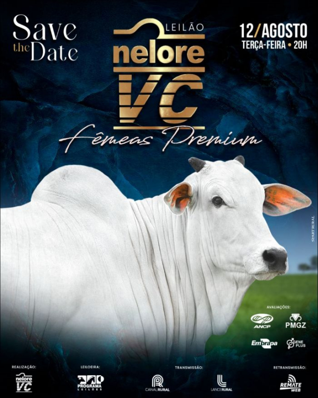 Leilão Virtual Nelore VC - Fêmeas Premium