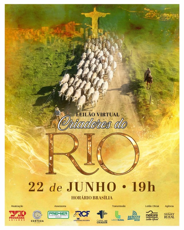 Leilão Virtual Criadores do Rio