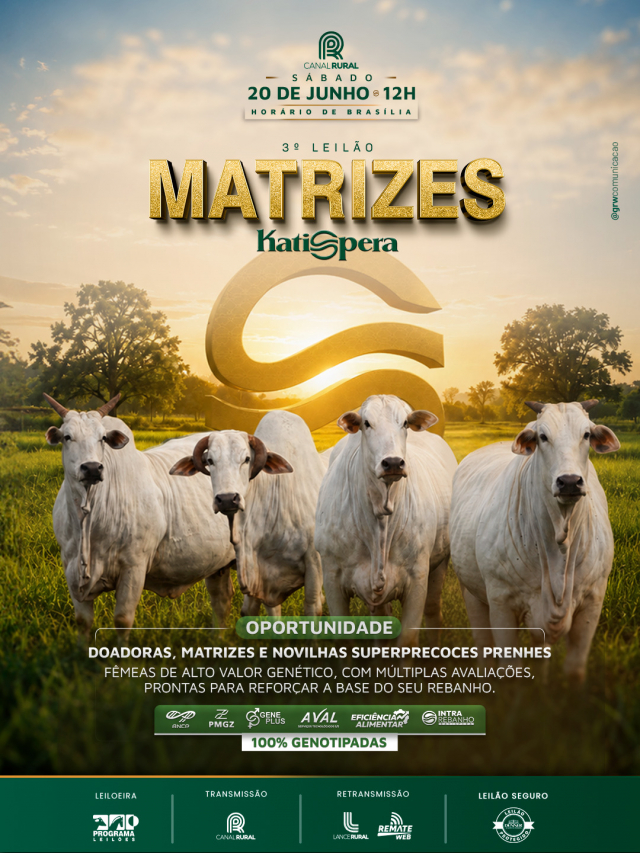 3º Leilão Matrizes Katispera