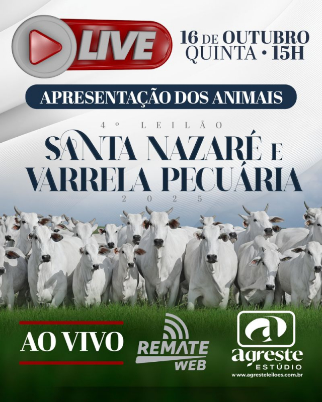 LIVE - Apresentação dos Animais 4º Leilão Santa Nazaré e Varrela Pecuária