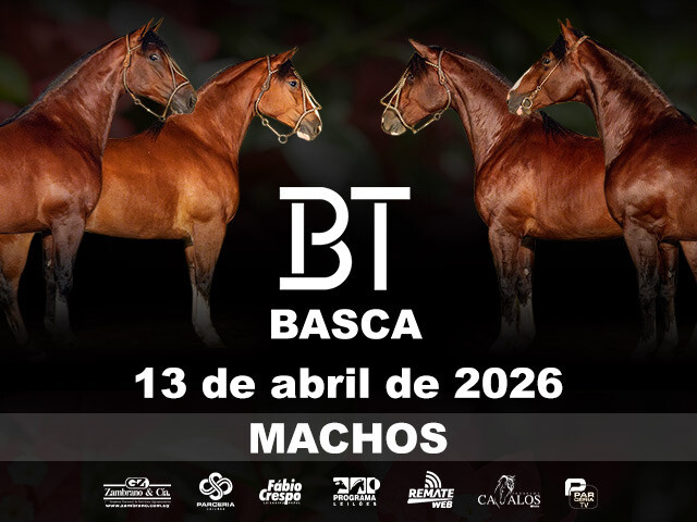 Leilão Virtual BT Basca - Machos