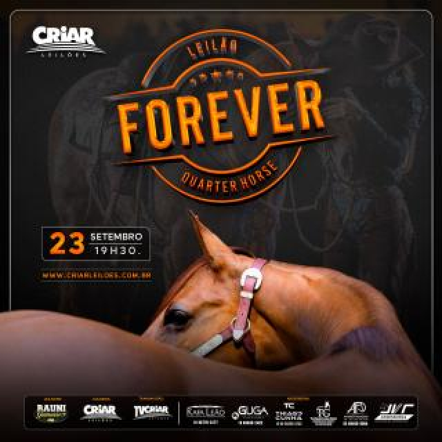 Leilão Virtual Forever Quarter Horse