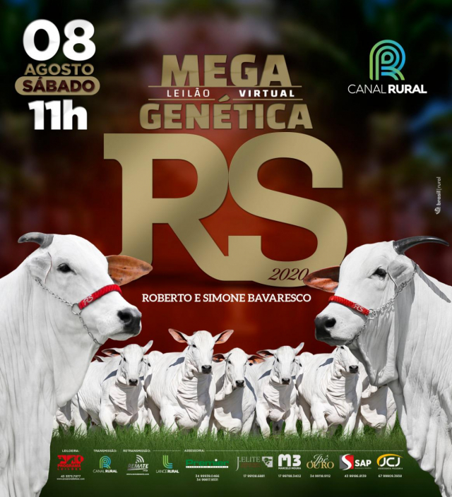 Leilão Mega Virtual Genética RS