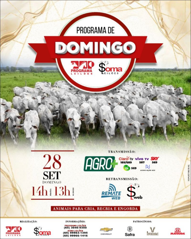 127º Programa de Domingo - Programa e Soma Leilões