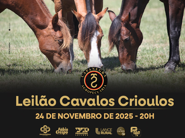 Leilão Cavalos Crioulos Capanegra Agropecuária