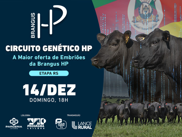 Leilão Virtual Circuito Genético Brangus HP