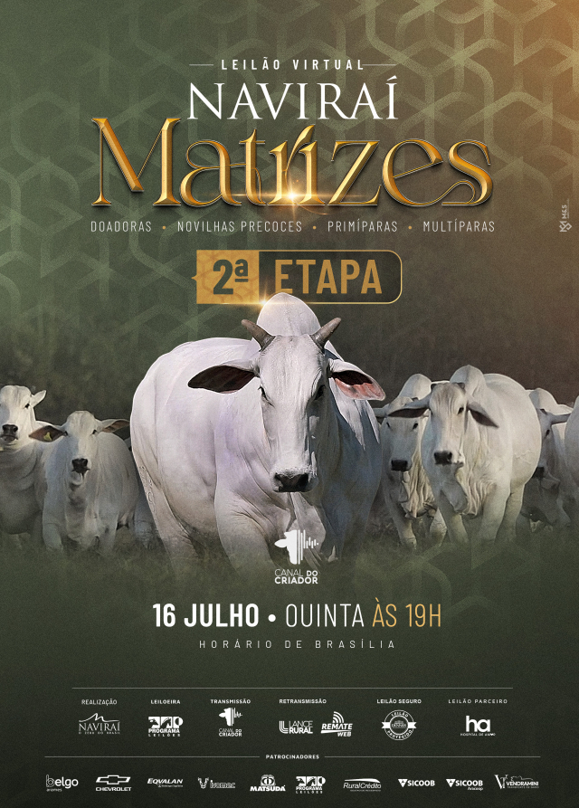Leilão Virtual Naviraí Matrizes - 2ª Etapa