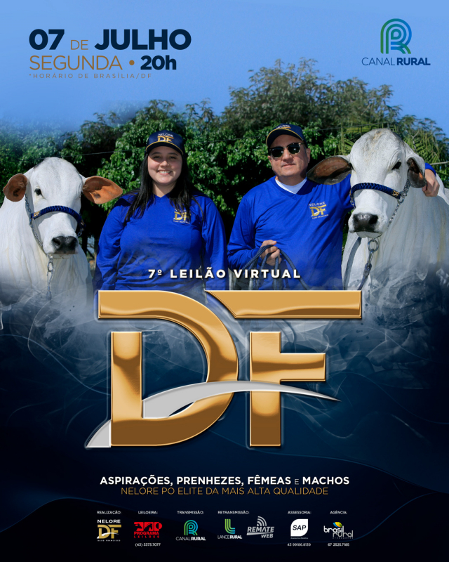 7º Leilão Virtual DF