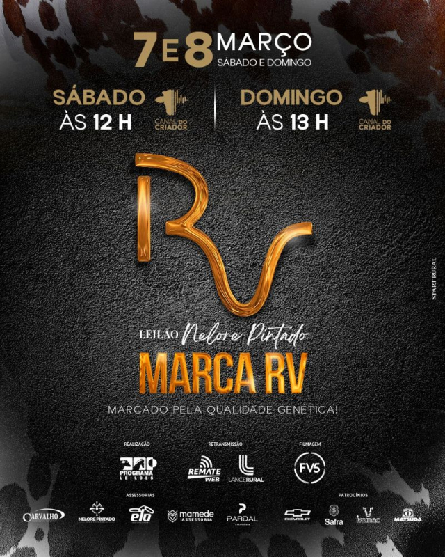 Leilão Virtual Nelore Pintado Marca RV - Machos