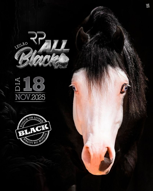 2º Leilão All Black