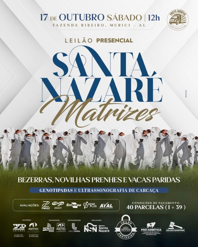 Leilão Presencial Santa Nazaré Matrizes