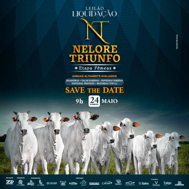 Leilão Virtual Liquidação Nelore Triunfo - Etapa Matrizes