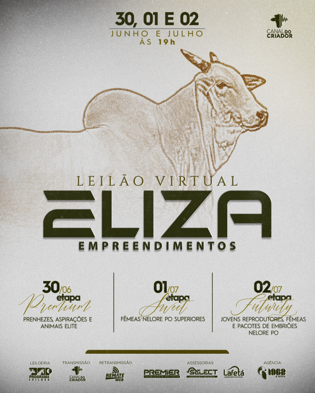 Leilão Virtual Eliza Empreendimentos - Etapa Premium
