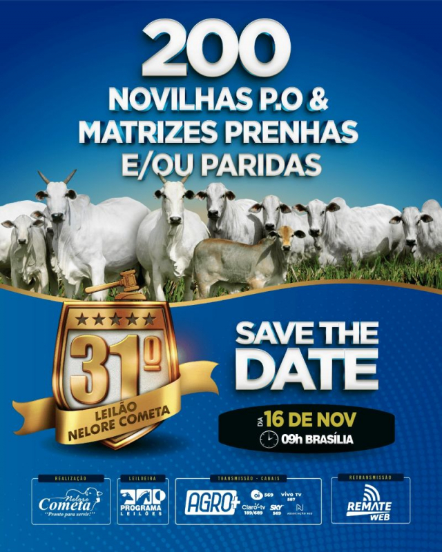 31º Leilão Virtual Nelore Cometa