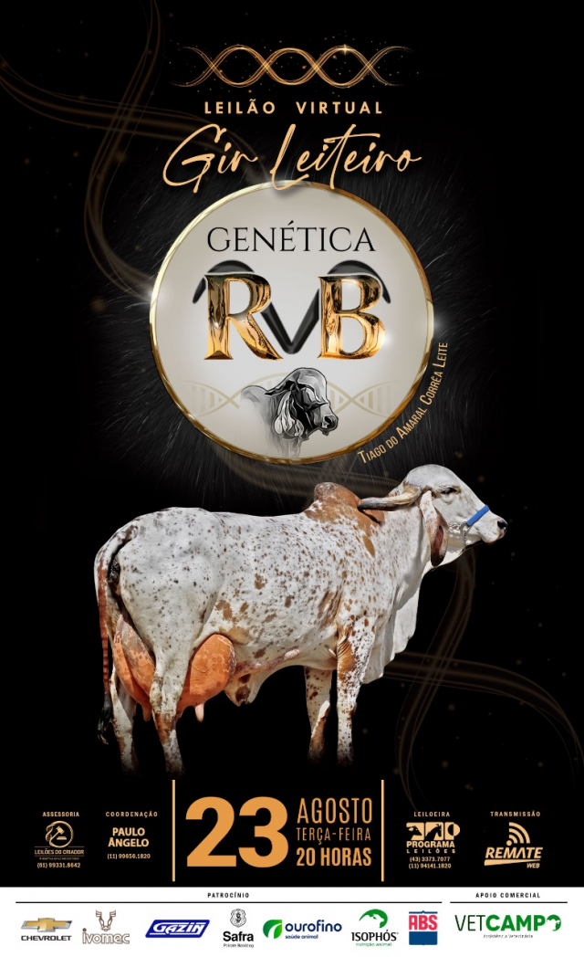 Leilão Virtual Gir Leiteiro Genética RBV