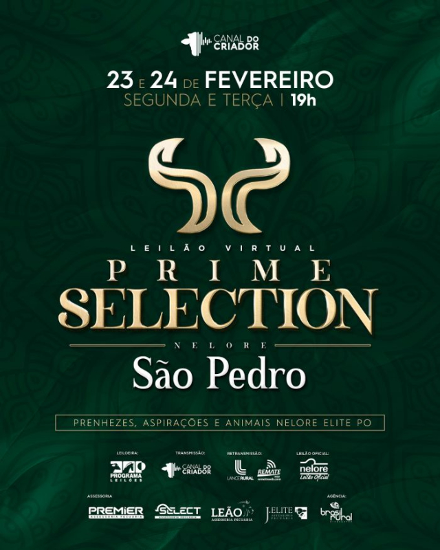 Leilão Virtual Prime Selection - Nelore São Pedro