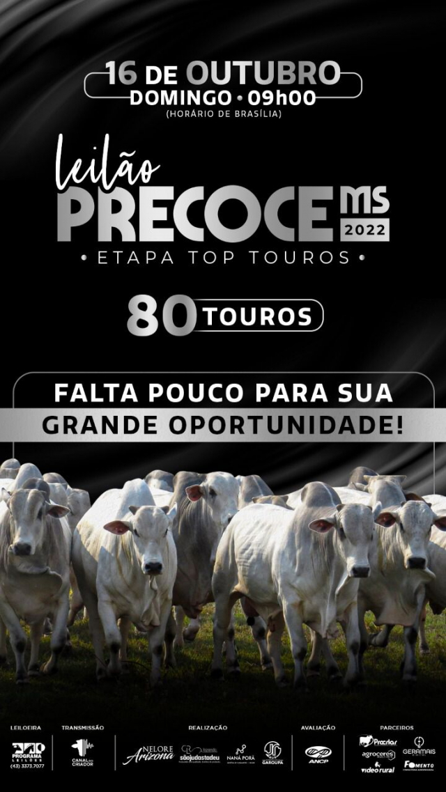 Leilão Precoce MS 2022 - Etapa Top Touros