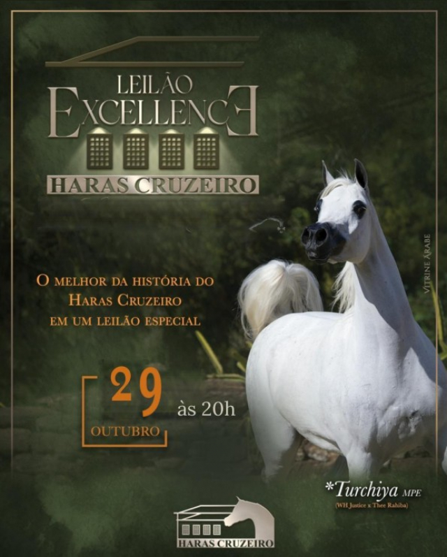 Leilão Excellence Haras Cruzeiro