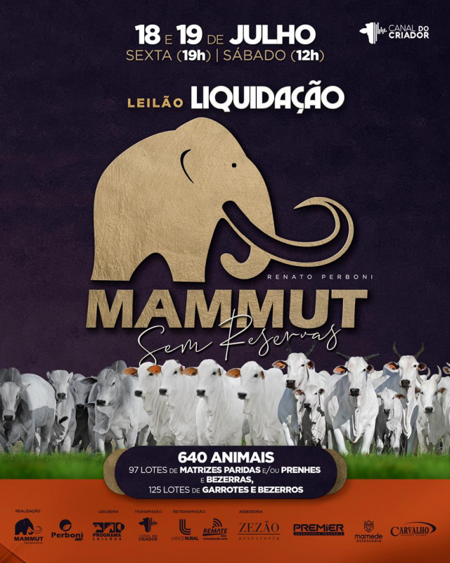 Leilão de Liquidação Mammut Sem Reservas - Machos