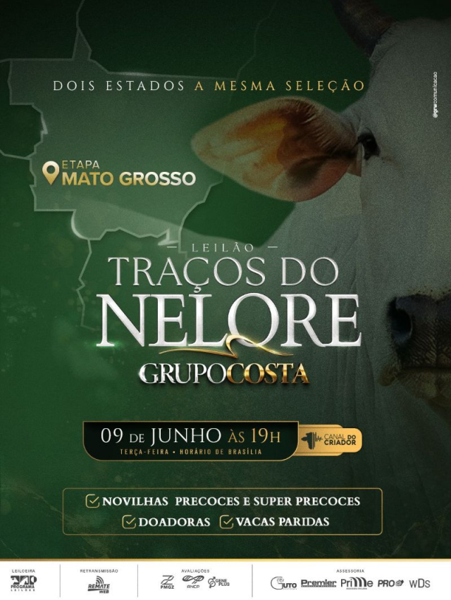 Leilão Virtual Traços do Nelore Grupo Costa - Etapa Mato Grosso