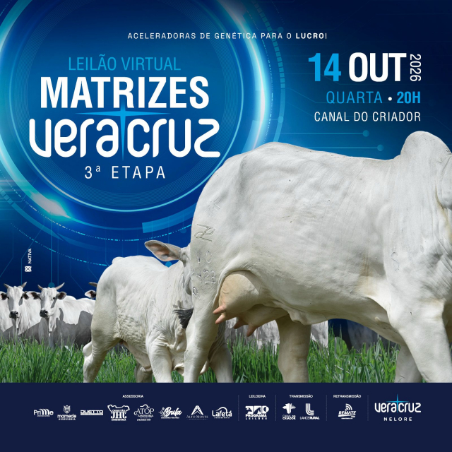 Leilão Matrizes Vera Cruz 3º Etapa