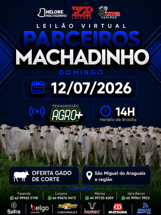 Leilão Virtual Parceiros Machadinho