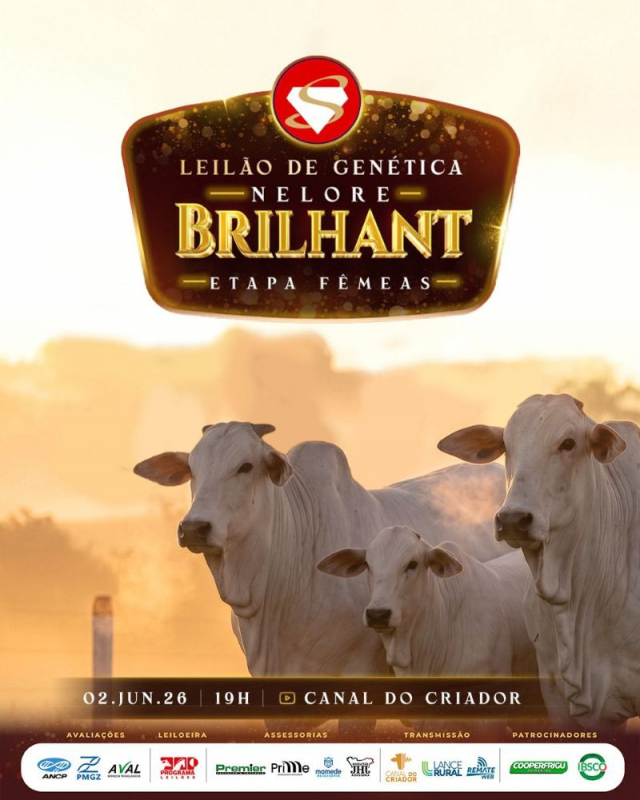 Leilão Virtual de Genética Nelore Brilhant - Etapa Fêmeas