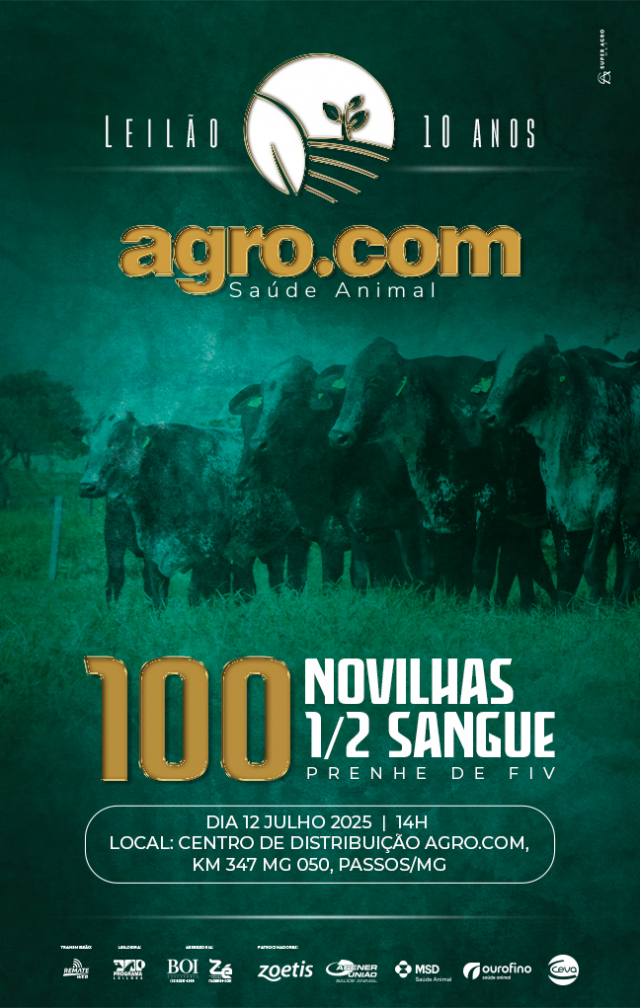Leilão 10 anos  Agro.Com