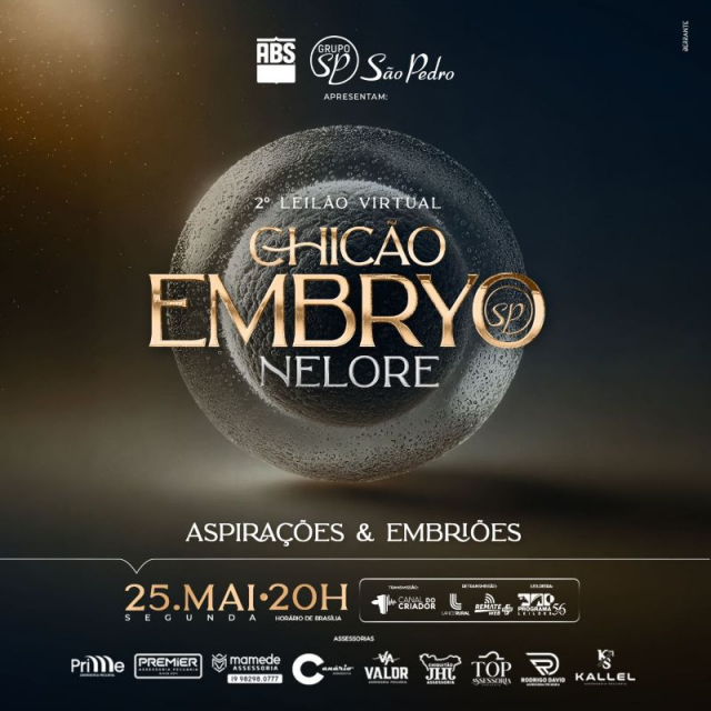 2º Leilão Virtual Chicão Embryo Nelore