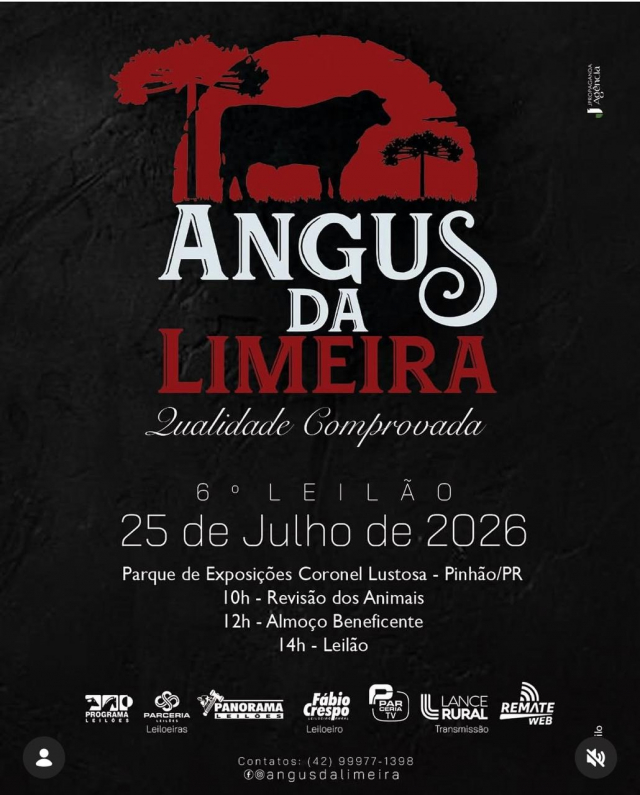 6º Leilão Angus da Limeira