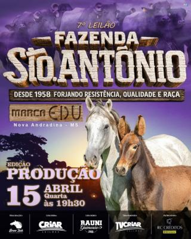 Leilão Fazenda Santo Antônio, Marca Edu - Muares e Animias de Lida (chucros)