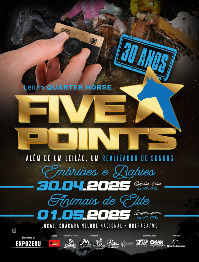 Leilão Quarter Horse Five Points - Animais de Elite