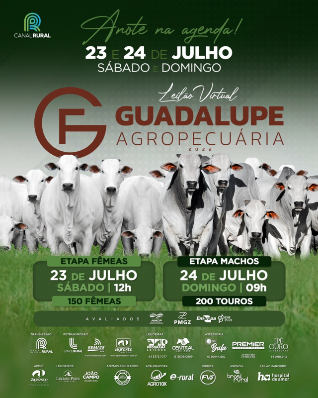 Leilão Virtual Guadalupe Agropecuária 2022 - Fêmeas