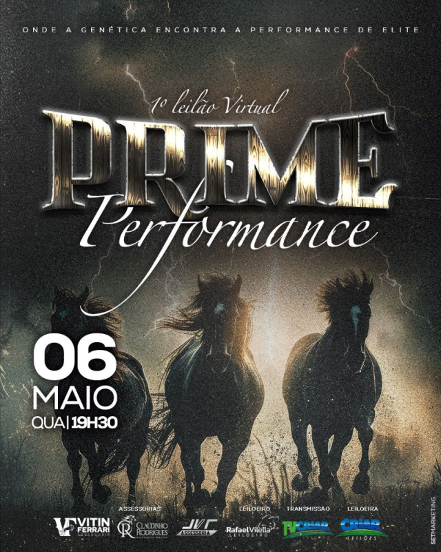 1° Leilão Virtual Prime Performance