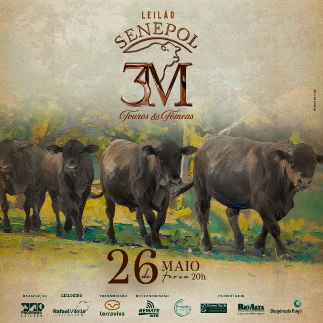 Leilão Virtual Senepol 3M - Touros e Fêmeas