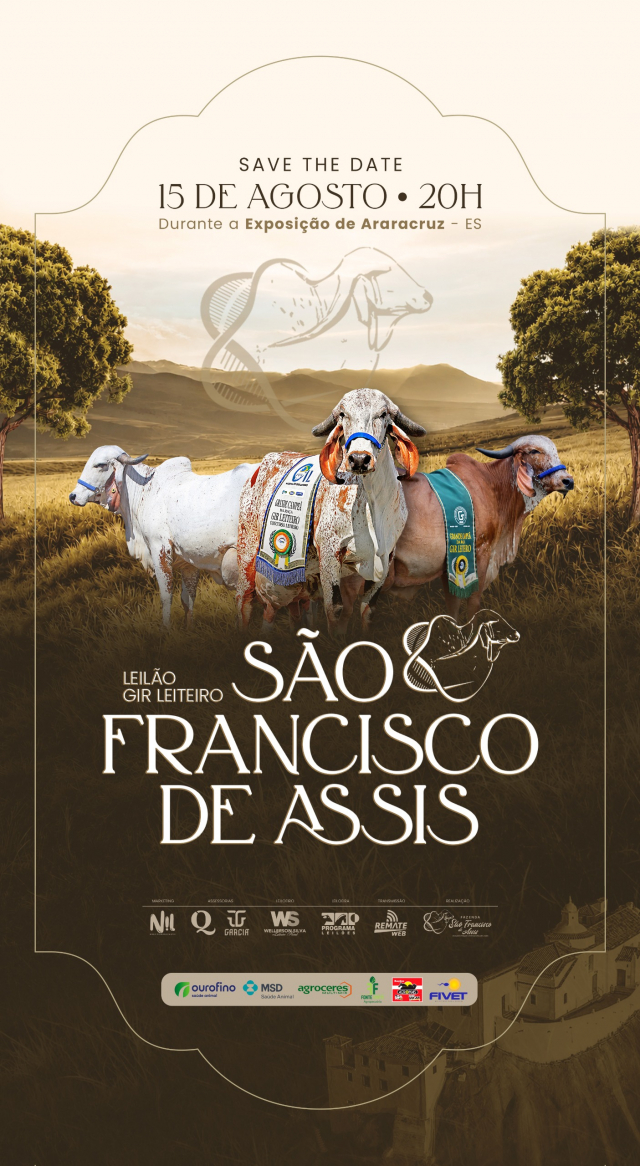 Leilão Gir São Francisco de Assis