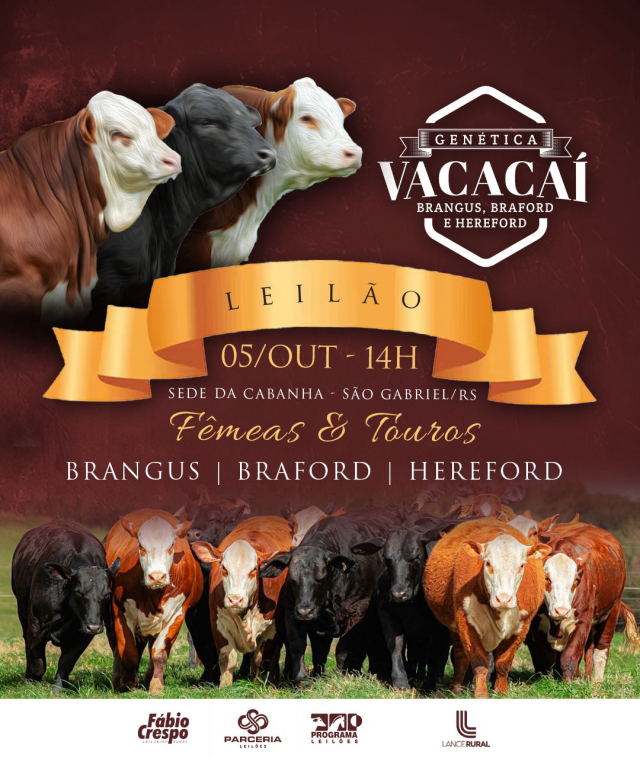 Leilão Genética Vacacaí - Brangus, Braford e Hereford