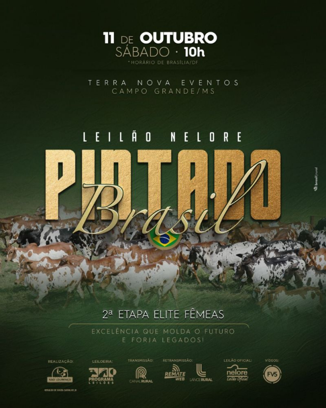 Leilão Nelore Pintado Brasil - Elite Fêmeas