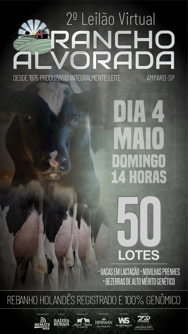 2° Leilão Virtual Rancho Alvorada - Holândes