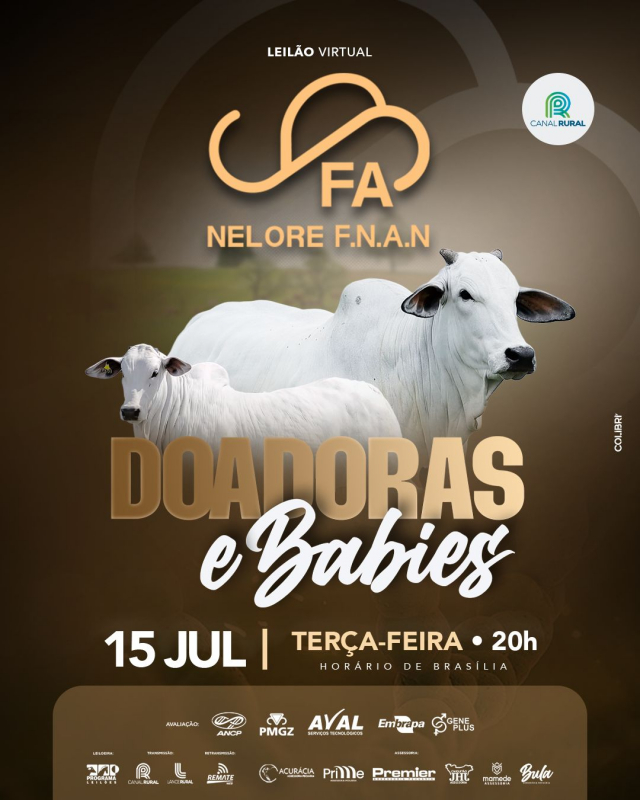 Leilão Virtual Nelore F.N.A.N - Doadoras e Babies
