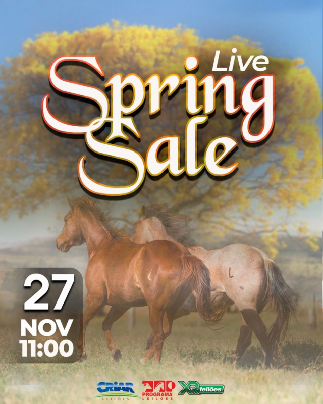 Leilão Live Spring Sale