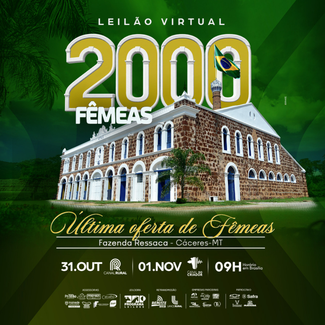 Leilão Virtual 2000 Fêmeas Fazenda Ressaca
