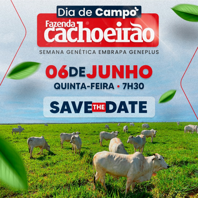 Dia de Campo - Fazenda Cachoeirão