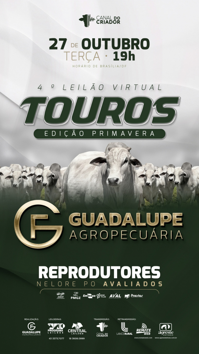 4º Leilão Virtual Touros Guadalupe