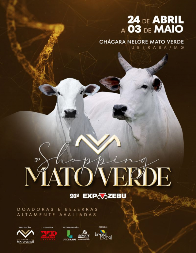 3º Shopping Mato Verde