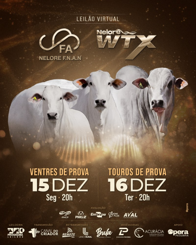 Leilão Virtual Nelore F.N.A.N e Nelore WTX - Touros de Prova