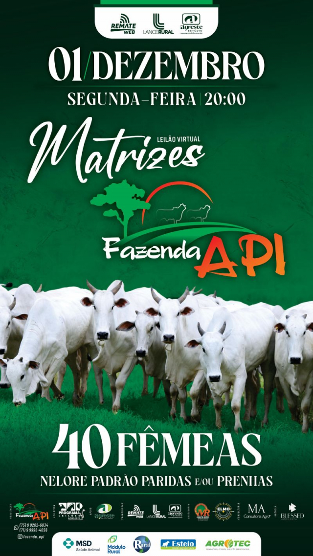 Leilão Virtual Matrizes Fazenda API