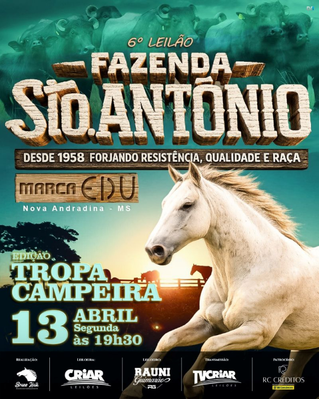 6º Leilão Virtual Fazenda Santo Antônio, Marca Edu - Edição Tropa Campeira