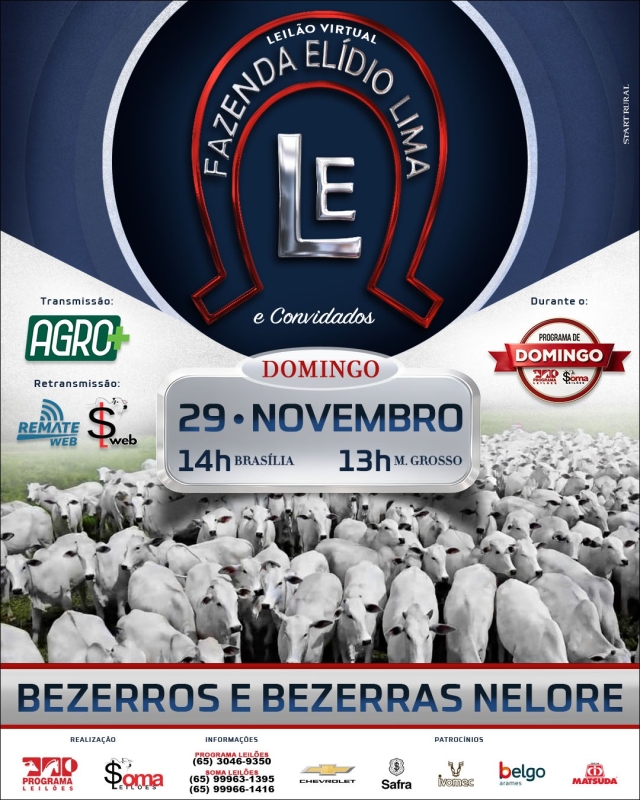 Leilão Virtual Fazenda Elídio Lima & Convidados