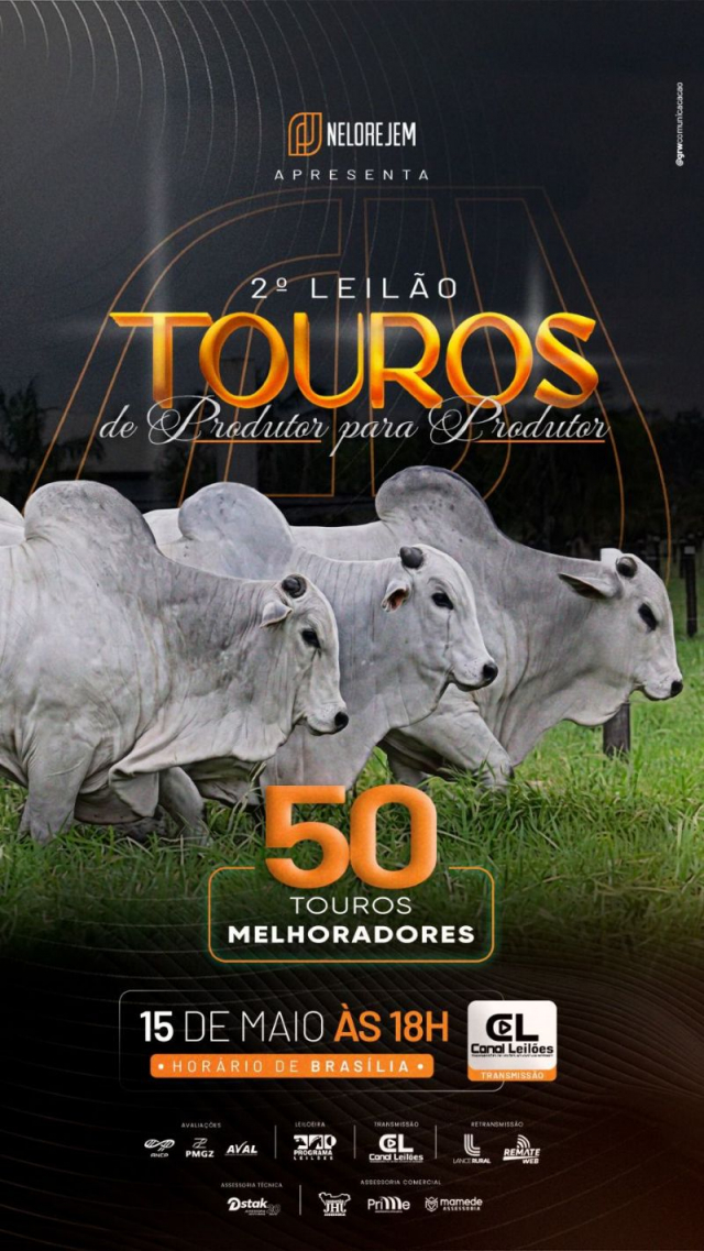 2º Leilão Touros de Produtor para Produtor - Nelore JEM